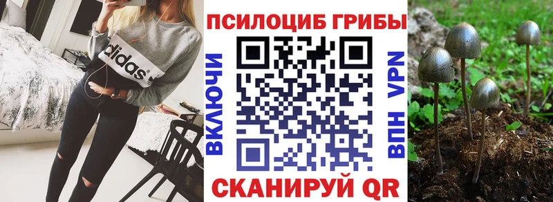 Галлюциногенные грибы мицелий  Кяхта 